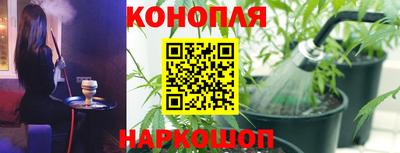 СК Кандалакша