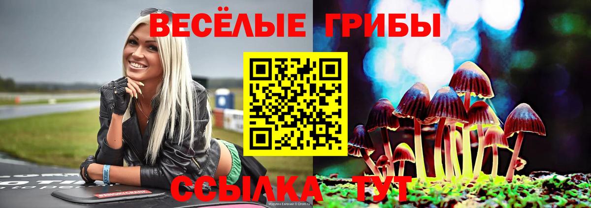Галлюциногенные грибы прущие грибы  Вход с VPN  Кропоткин 